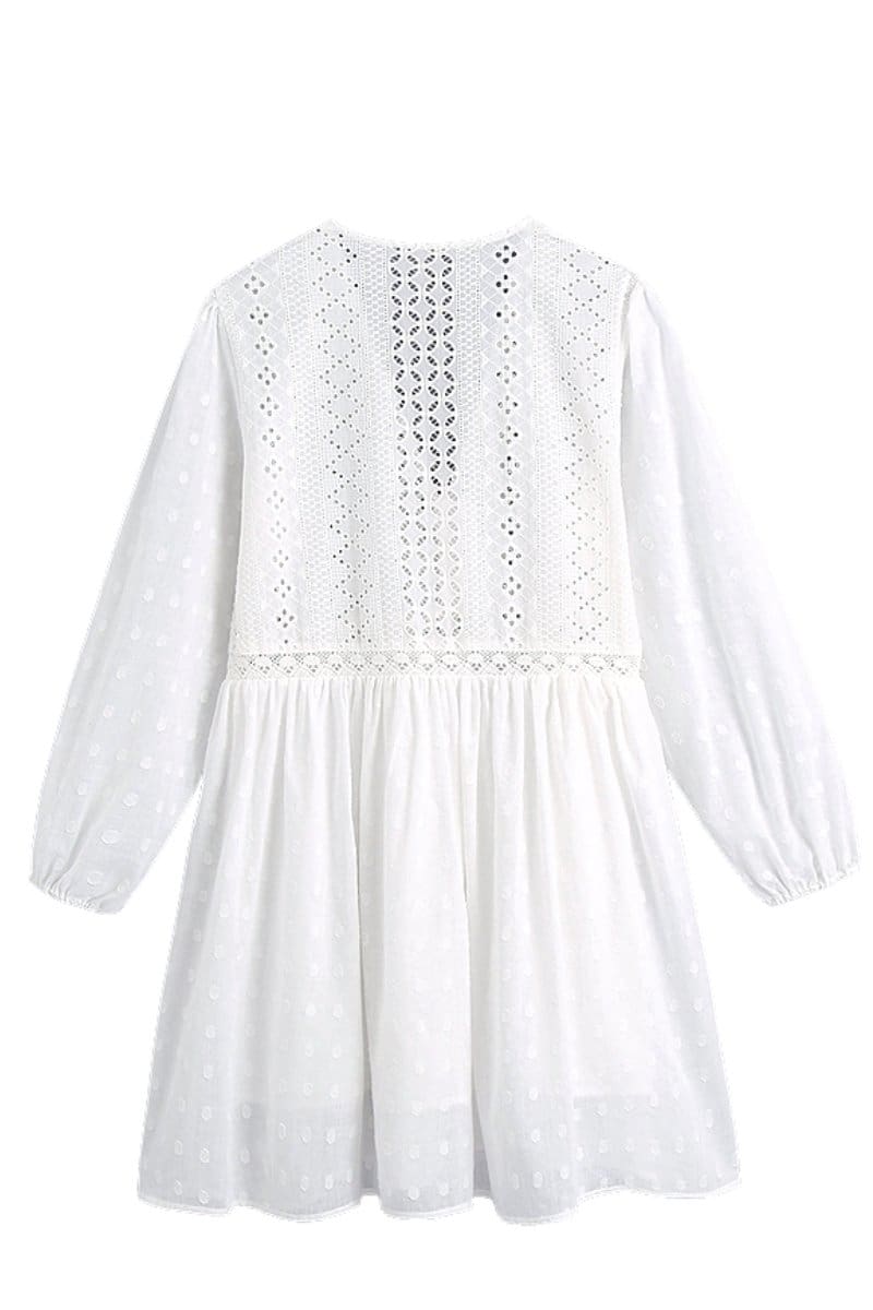 Long Sleeve Embroidered Mini Dress